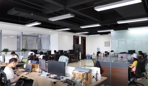 筑夢成都 歸來仍少年 公園城市里的創業青年有話說